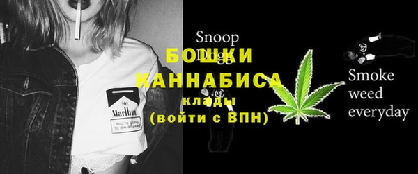 первитин Богородск