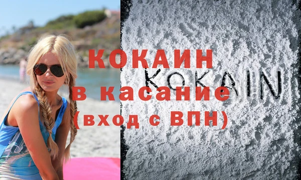 сатива Богородицк
