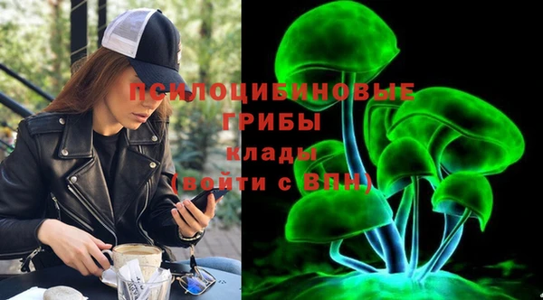 сатива Богородицк