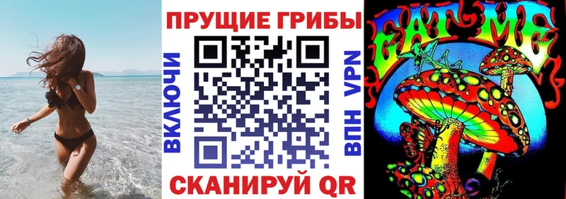 kraken сайт  продажа наркотиков  Конаково  Галлюциногенные грибы GOLDEN TEACHER 